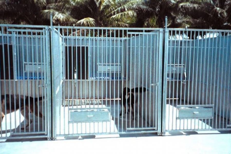 Trainingcentrum politiehonden Miami